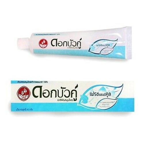 Twin Lotus  Fresh & Cool Herbal Toothpaste  40g