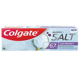 I1 Colgate Toothpaste Salt Gum Protrect 120g / (단위)