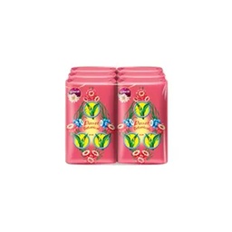 I1 Parrot Bota Anti-bac Pink 55g 1x6 / (Pack)