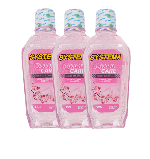 Systema mouthwash, quick care for bad breath during the day, 250ml 1X3
