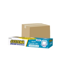 Systema Toothpaste Care & Protect Icy Mint 160g 1x6x6 / (Box)