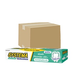 Systema Care & Protect Maxi Cool Toothpaste 160g 1x4x9 / (Box)