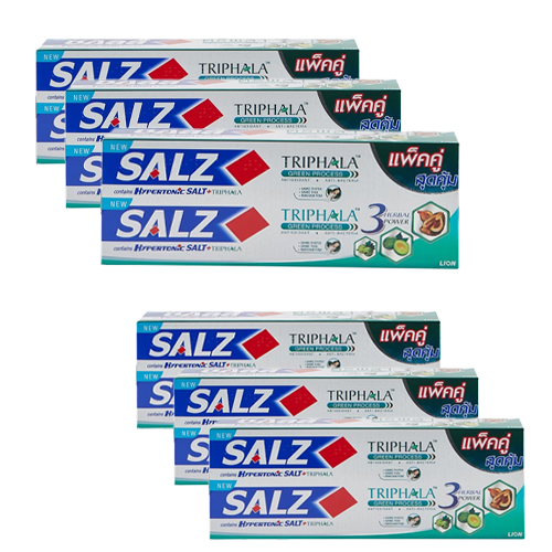 Salz Triphala Toothpaste Pack 2. 160g 1x6