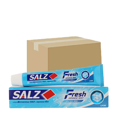 Salz Fresh Toothpaste 90g 1x6x6